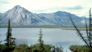 Trump Opens an Arctic Refuge for Drilling—But Companies May Not Want To